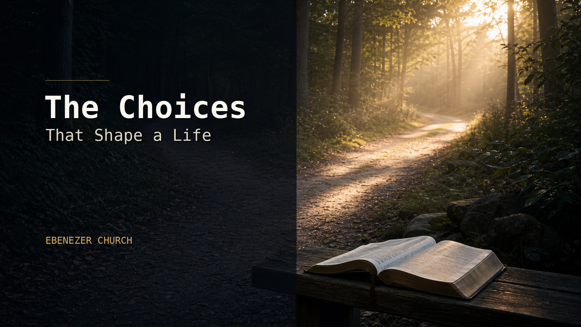Featured image for The Choices That Shape a Life.